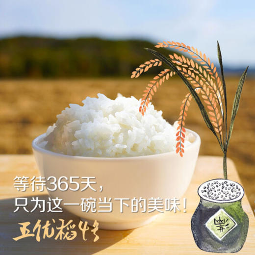 中粮初萃 五常龙凤山稻花香大米5kg 东北大米 五常大米 商品图1