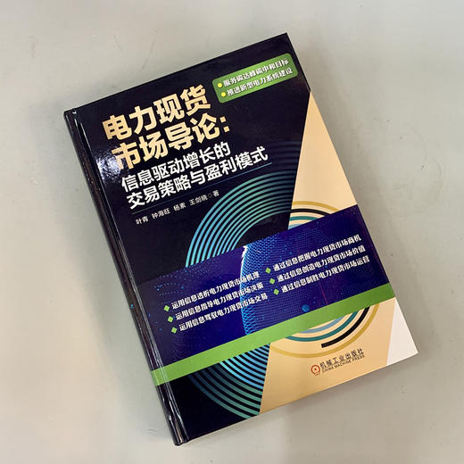 电力现货市场导论：信息驱动增长的交易策略与盈利模式 商品图1