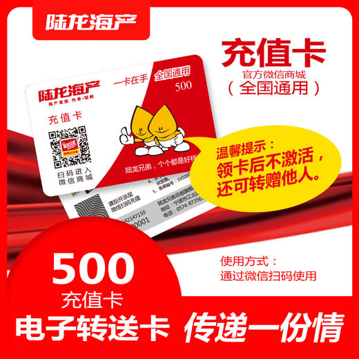 990950陆龙电子卡500 商品图1