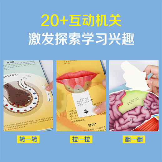 【丹妈读童书】乐乐趣趣味科普立体书-《人体》 商品图2