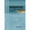 排桩整流技术研究及其在通航水流条件中的应用 商品缩略图0