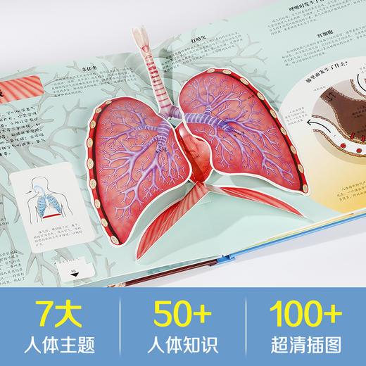 【丹妈读童书】乐乐趣趣味科普立体书-《人体》 商品图3