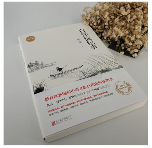 白洋淀纪事(未删节全新珍藏版) 商品图1