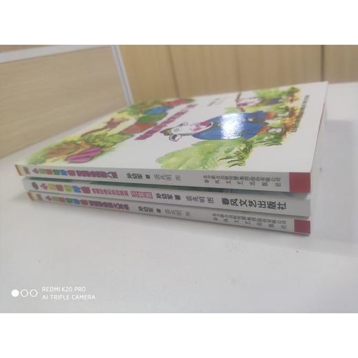 小猪唏哩呼噜：唏哩呼噜和他的弟弟+唏哩呼噜和猪八戒+唏哩呼噜和大耳朵 商品图2