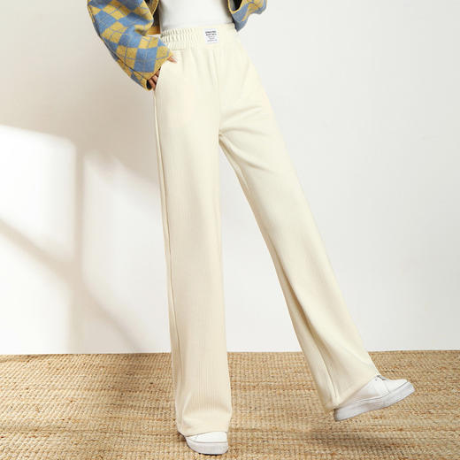 AHM-lsy1678A新款时尚气质松紧高腰宽松直筒条绒阔腿裤 商品图2
