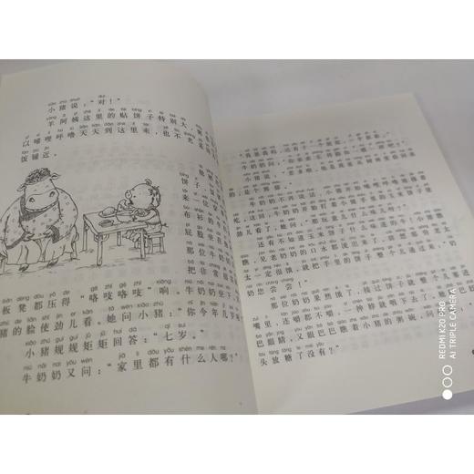 小猪唏哩呼噜：唏哩呼噜和猪八戒.注音版 商品图4