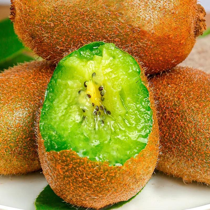 『周至瑞玉猕猴桃』软糯细腻 甜蜜多汁