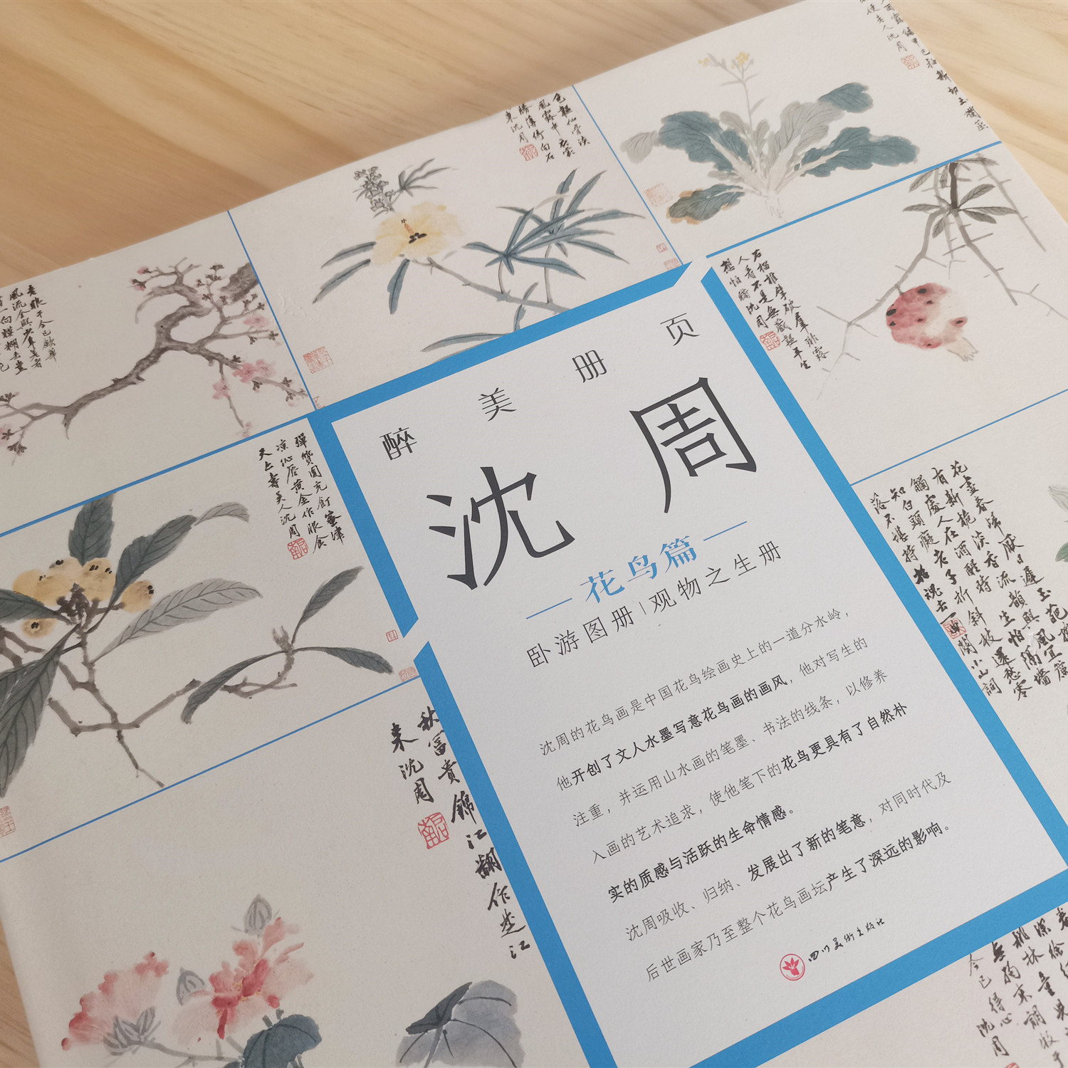 沈周(花鸟篇)(精)/醉美册页——四川美术出版社