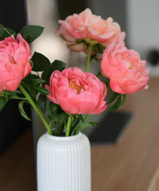 【俘获人心】芍药-落日珊瑚（西瓜红) 5枝（渐变色） 商品图11