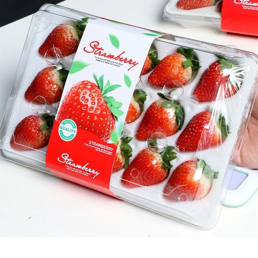 【限时秒杀 先到先得 】新鲜现摘盒装 草莓360g左右 /盒 商品图0