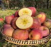 云南昭通丑苹果6斤 肉质细脆 糖汁丰富 商品缩略图0