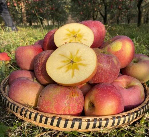 云南昭通丑苹果6斤 肉质细脆 糖汁丰富 商品图0