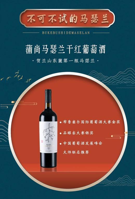 宁夏第一家金奖马瑟兰！不可不试——蒲尚酒庄马瑟兰红葡萄酒 商品图3