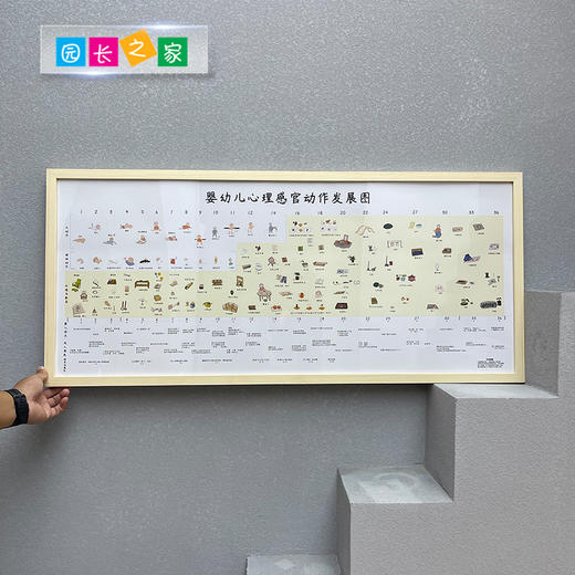 婴幼儿心理感官动作发展图 商品图1