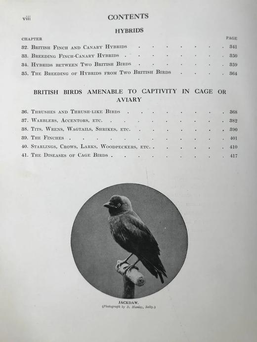 1911年 金丝雀，杂交鸟与英国笼鸟图集 26幅彩色与数百幅黑白插图 精装16开 商品图5