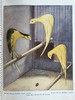 1911年 金丝雀，杂交鸟与英国笼鸟图集 26幅彩色与数百幅黑白插图 精装16开 商品缩略图12