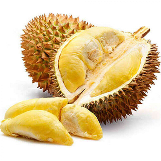 金枕榴莲（树上熟）