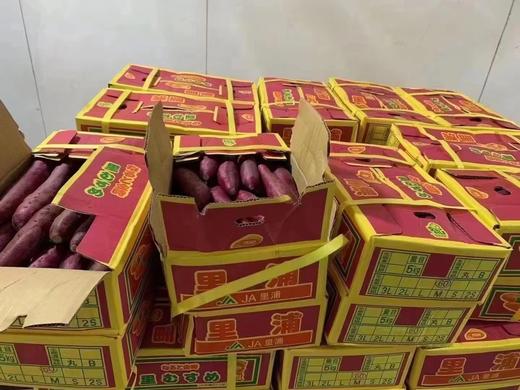 【日本金时地瓜】土豪地瓜，鸣门金时地瓜，口感细腻，粉而不干，奶香还甜，蒸/煮/烤都适合 商品图10