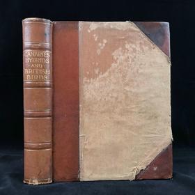 1911年 金丝雀，杂交鸟与英国笼鸟图集 26幅彩色与数百幅黑白插图 精装16开