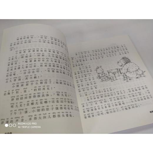 小猪唏哩呼噜：唏哩呼噜和猪八戒.注音版 商品图3