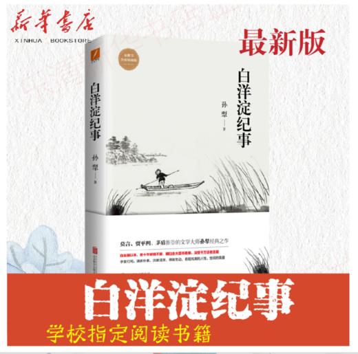 白洋淀纪事(未删节全新珍藏版) 商品图0