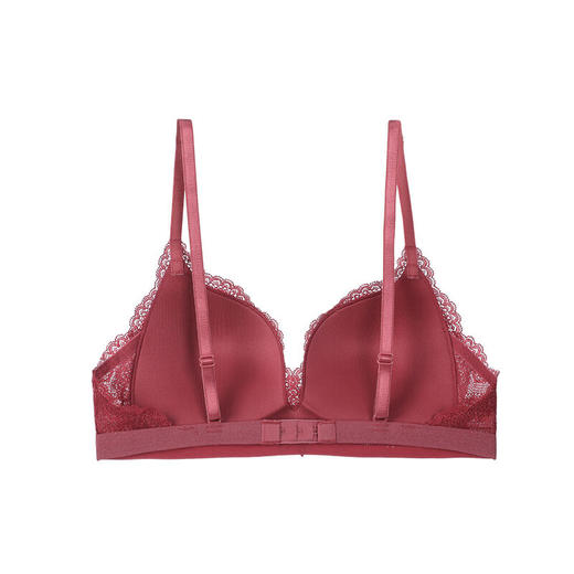 芬狄诗国风少女蕾丝小胸聚拢无钢圈文胸FB00303 商品图2