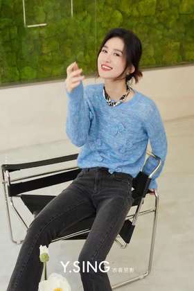 衣香丽影彩纱套头衫110939001