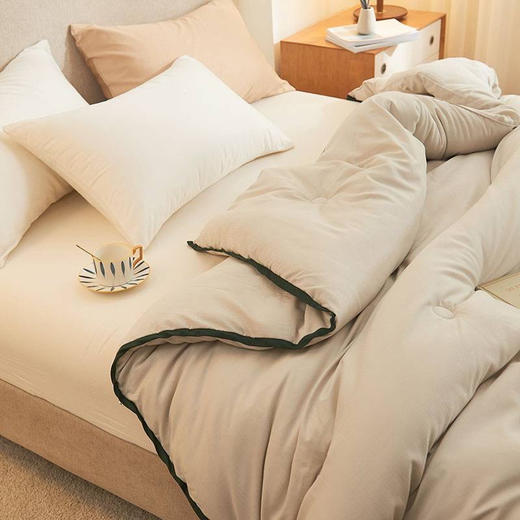 【国内一线代工厂】德国拜耳正宗德绒轻柔保暖被 商品图2