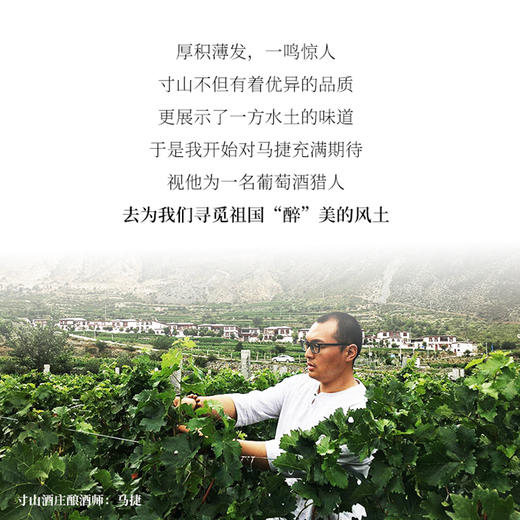 国产精品 宁夏贺兰山葡萄酒 独立酿酒师酿造红酒开门红双支礼盒装750ml*2（口味备注或联系客服） 商品图6