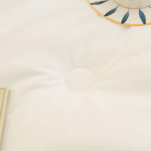 【国内一线代工厂】德国拜耳正宗德绒轻柔保暖被 商品图7