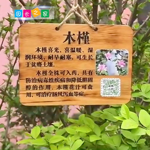 植物百科木牌 商品图2