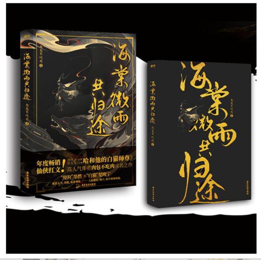 海棠微雨共归途1+2套装全二册 商品图1