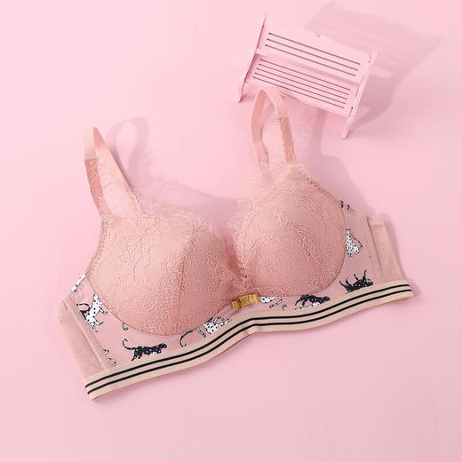 芬狄诗深V性感蕾丝舒适上托小胸聚拢无钢圈文胸FB00266 商品图3