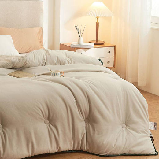 【国内一线代工厂】德国拜耳正宗德绒轻柔保暖被 商品图1