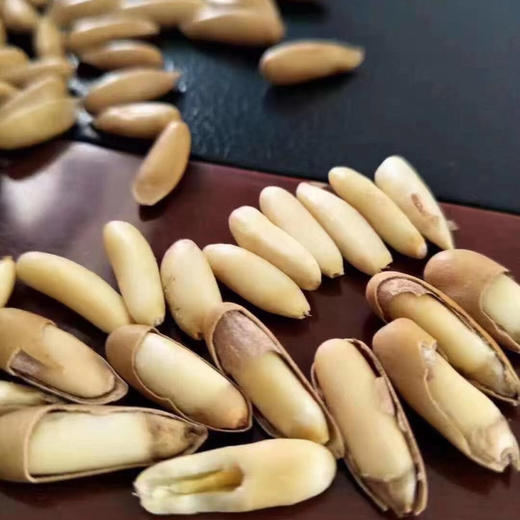 巴西松子 500克一袋 商品图0