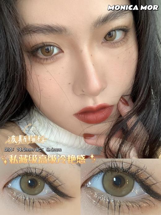 MONICA MOR 美瞳 波斯猫棕（芝麻棕） 845 商品图12