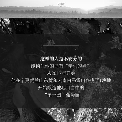 国产精品 宁夏贺兰山葡萄酒 独立酿酒师酿造红酒开门红双支礼盒装750ml*2（口味备注或联系客服） 商品图2