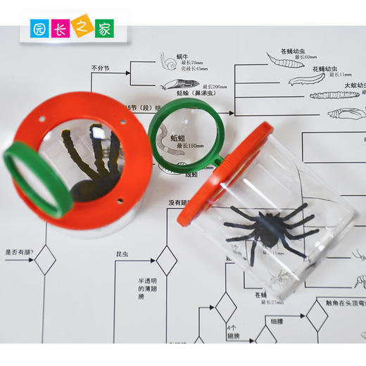 昆虫扩大镜观察盒 商品图1