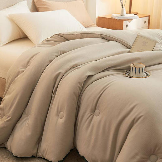 【国内一线代工厂】德国拜耳正宗德绒轻柔保暖被 商品图3