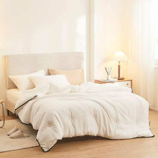 【国内一线代工厂】德国拜耳正宗德绒轻柔保暖被 商品图4