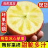 【GY】威宁杨华冰心苹果 绿标认证 脆甜多汁 商品缩略图0