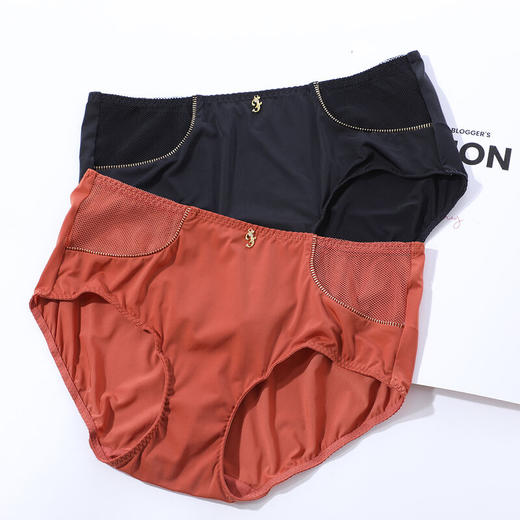 芬狄诗舒适包臀中腰三角内裤F300279 商品图4
