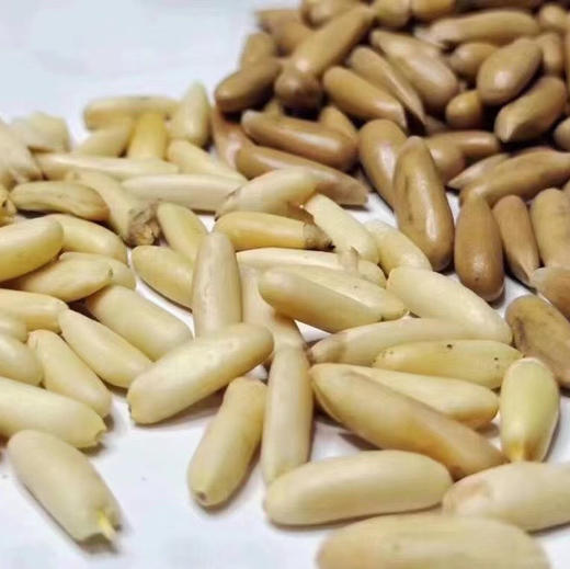 巴西松子 500克一袋 商品图1