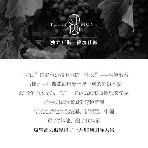 国产精品 宁夏贺兰山葡萄酒 独立酿酒师酿造红酒开门红双支礼盒装750ml*2（口味备注或联系客服） 商品图1