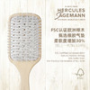 新品·No.9249-C 赫格丽舒适气囊按摩梳 商品缩略图1