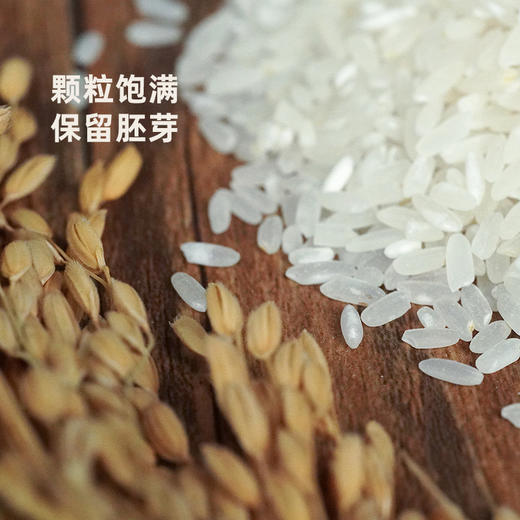 【专属拼团福利】香甜软弹 粥饭皆宜  火山岩石板米 稻花香2.5kg 商品图1