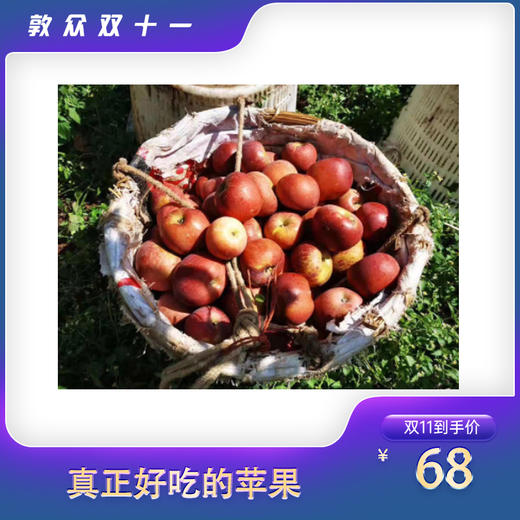 泸沽湖·高山丑苹果开始预售（10月10日以后发货） 商品图0