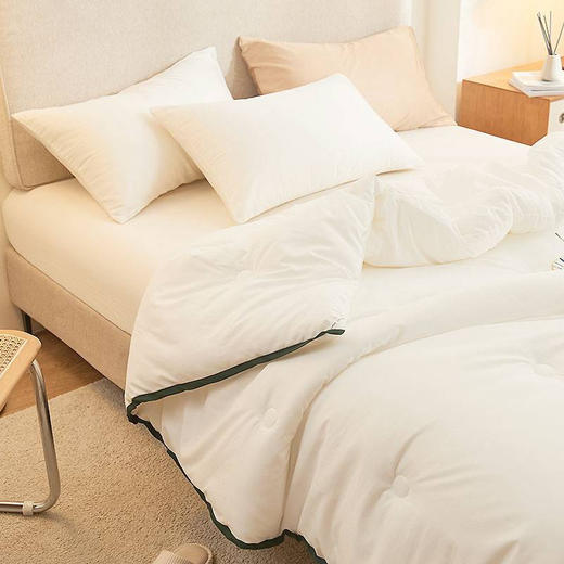 【国内一线代工厂】德国拜耳正宗德绒轻柔保暖被 商品图5