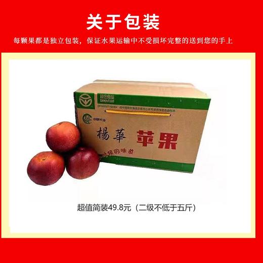 【GY】威宁杨华冰心苹果 绿标认证 脆甜多汁 商品图6