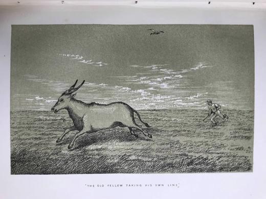 1875年 南非与东南非自然史 34幅插图 漆布精装大32开 商品图7